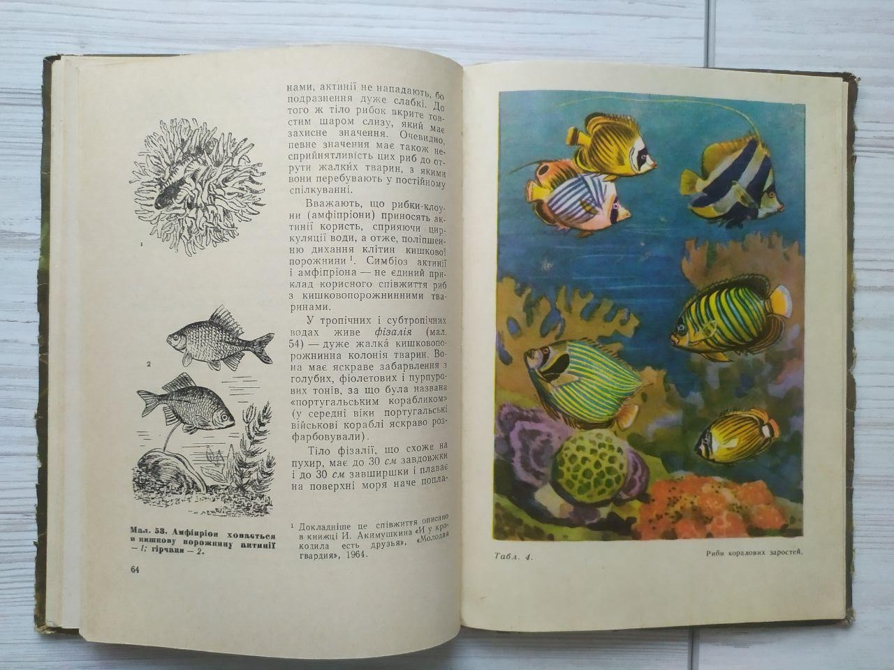 Product image preview