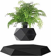 Шкіряна рослина Kiko-ershaa, підвісний квітковий горщик для прикраси офісу