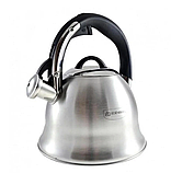 Чайник зі свистком EDENBERG  3,0 л матовий корпус, фото 7