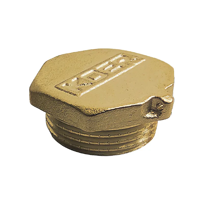 Заглушка Koer KF.P10M.WN — 1" Н (без нікелю) (KR3101), фото 1