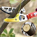 Пила телескопічна садова 1,8–3 м з секатором та збирачем фруктів для обрізки гілок і живоплоту, фото 3