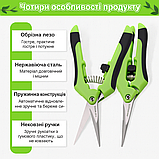 Ножиці для збору фруктів і овочів Сибертех 185 мм з прямим лезом, вага 105 г, фото 2