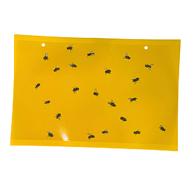 Ліпучка для мух, липучки від мух, клейова пастка для мух Hechpro (GLST10)