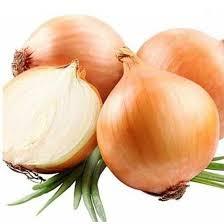 🧅 Цибуля-саджанка Штур БС (BROER) 10 кг. Голландія, середньопізній сорт ріпчастої цибулі, фото 1