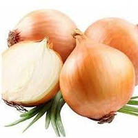 🧅 Цибуля-саджанка Штур БС (BROER) 10 кг. Голландія, середньопізній сорт ріпчастої цибулі