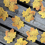 Штучне листя клена жовте 20 шт. уп 18 см, фото 2