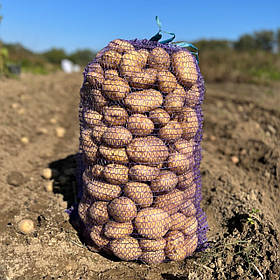 Сітка для овочів 20 кг 40х60 2000 шт оптом