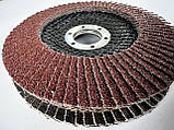 Пелюстковий торцевий круг ДНІПРО, фото 2