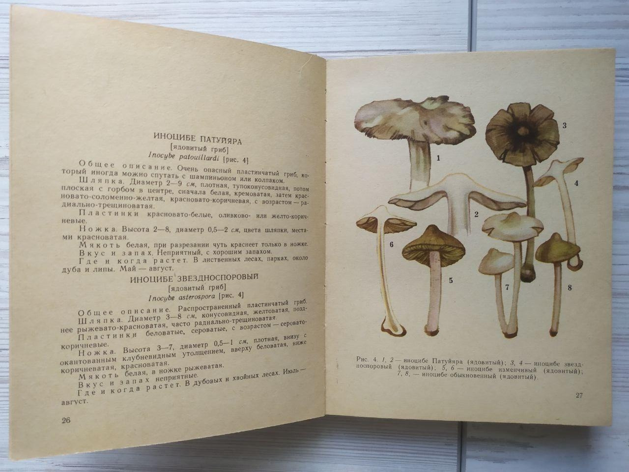 Product image preview