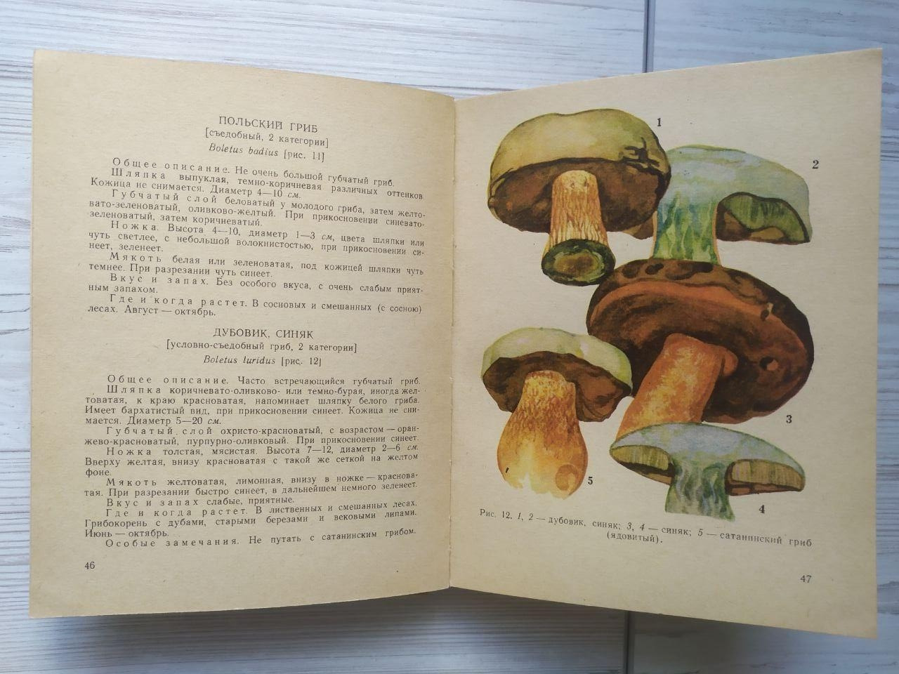 Product image preview