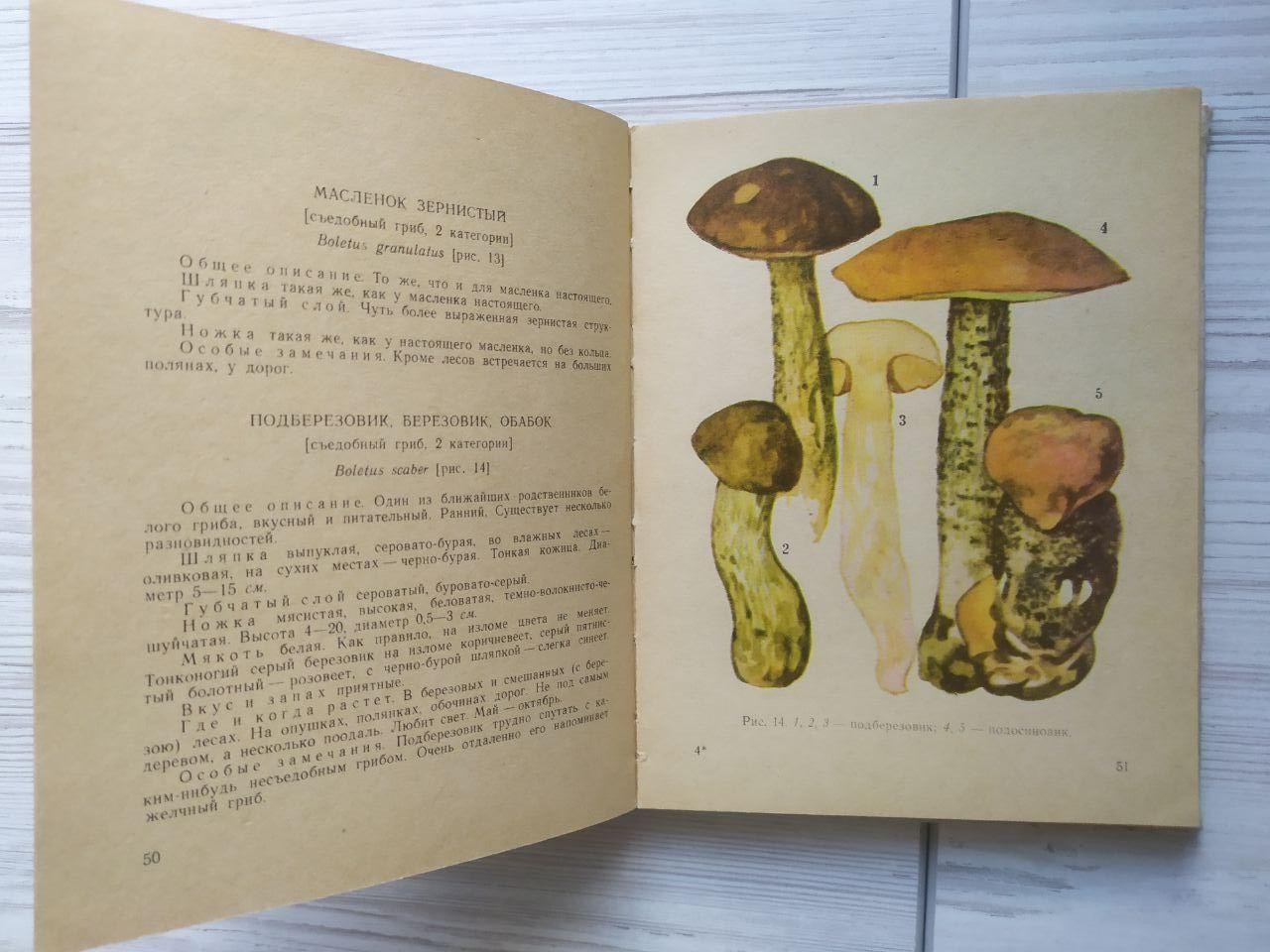 Product image preview