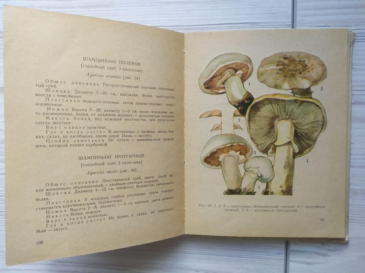 Product image preview