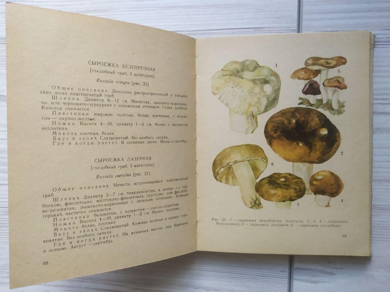 Product image preview