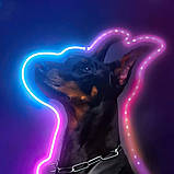 Світлодіодна LED стрічка RGB 10 м Розумна неонова стрічка із синхронізацією музики Гнучкий неон, фото 10