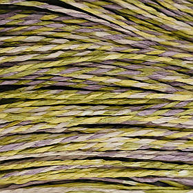 Пряжа Raffia кручена меланжева "Лйон"