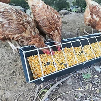 Годівниця для курей, курчат та інших домашніх птахів у вигляді решітки, стійка