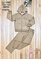 Спортивний утеплений костюм 2 в 1 для дівчаток оптом, Sincere, 134-164 см, № CJ-1988