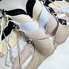 Жіночі бюстгальтери 73599 В Biweier, фото 2