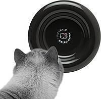 Миска для кішок LucyBalu X Hello Kitty порцелянова ергономічна для води 15x15 см сірий