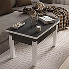 Стіл трансформер Батерфляй (Флай, B-Fly), фото 6