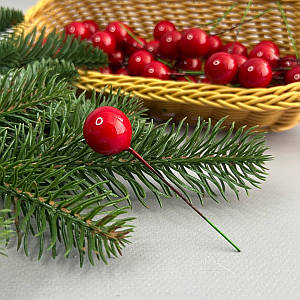 Калина лакова Ø20 мм, для декору - червоний