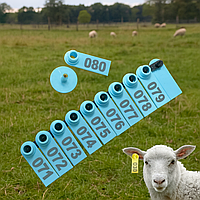 Вушні бірки для овець, кіз, свиней, поросят, ВРХ та собак, з номером і без, 100 шт у комплекті