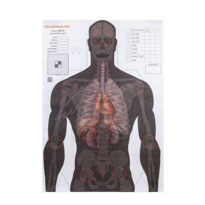 Мішень Алебарда "Анатомический силуэт" ALB-50 (566), фото 1