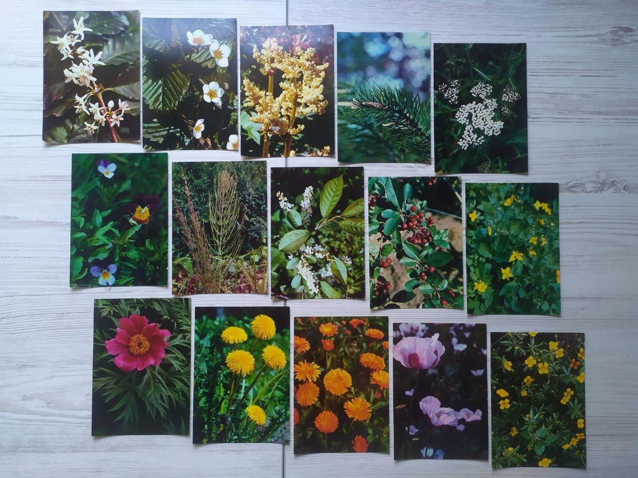 Product image preview