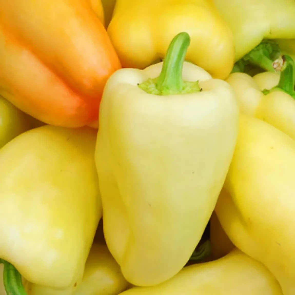 Перець Білозірка 0,3 г, ТМ Смачний, фото 1