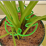 Опора для рослин для фіксації та підтримки кімнатних та вуличних рослин 2 шт, фото 3