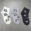Шкарпетки жіночі 6 пар «Панда» середньої висоти розмір 36-40 арт. 307.6, фото 6