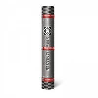 Техноеласт ЕПП 5,2 (4,0 мм товщина) 10 м2/рул