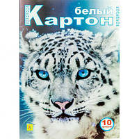 Від 2 шт. Білий картон А4 10 аркушів "Коленкор" 7582/7583 Аляска купити дешево оптом в інтернет-магазині