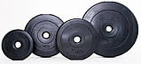 Блін диск бітумний для штанги або гантелі 1.25 кг (30мм у пластику) W_0199, фото 3