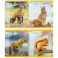 Від 16 шт. Зошит кольоровий 48 аркушів, клітинка 3879 N  купити дешево оптом в інтернет-магазині