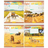 От 16 шт. Зошит кольоровий 24 листи, клітина 3864 N купить оптом