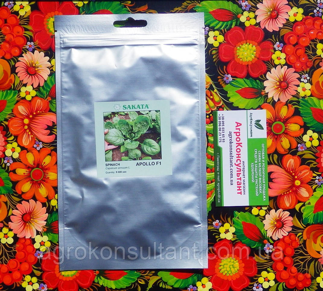 Насіння шпинату Аполло F1 (Sakata), 5 000 нас — середньостиглий гібрид (30-45 днів), всесезонне вирощування