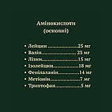 Спіруліна Порошок 500г. Спіруліна для схуднення. Спіруліна органічна, фото 3