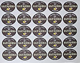 Овальні наклейки на листі А3 - 25 шт розміром 55 мм х 70 мм - Калганівка, фото 3
