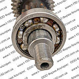 Вал первинний Т-16, у зборі із шестернями та підшипниками, СШ20.37.065, фото 2