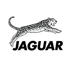 Професійні плойки Jaguar