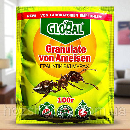 Інсектицид від мурах Global (Глобал) мікрогранули , 100г, фото 1