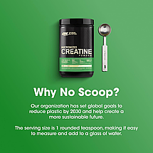 Креатин моногідрат Optimum Nutrition Micronized Creatine Monohydrate Powder 300 г ( USA ), фото 4