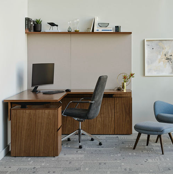 Меблі професійного призначення