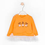 Кофта з фатином і штанці Ballerinas, фото 2