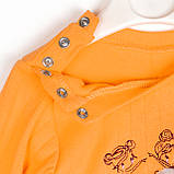 Кофта з фатином і штанці Ballerinas, фото 3