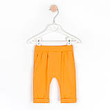 Кофта з фатином і штанці Ballerinas, фото 6