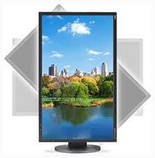 Монітор бу 22" 1680*1050 TN NEC EA223WM LED VGA DVI DP MM USB*4 Pivot білий A Гарантія!, фото 4