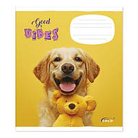 Тетрадь на 18 листов в клетку «Микс Мальчики», №3405, ТМ Gold Brisk