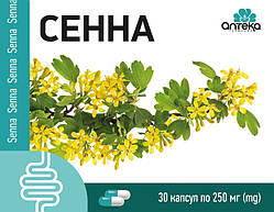 Сенна капсула 250 мг No30